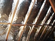 Isolatiewerken Decock Kurt BVBA ||| 0477 40 92 87
